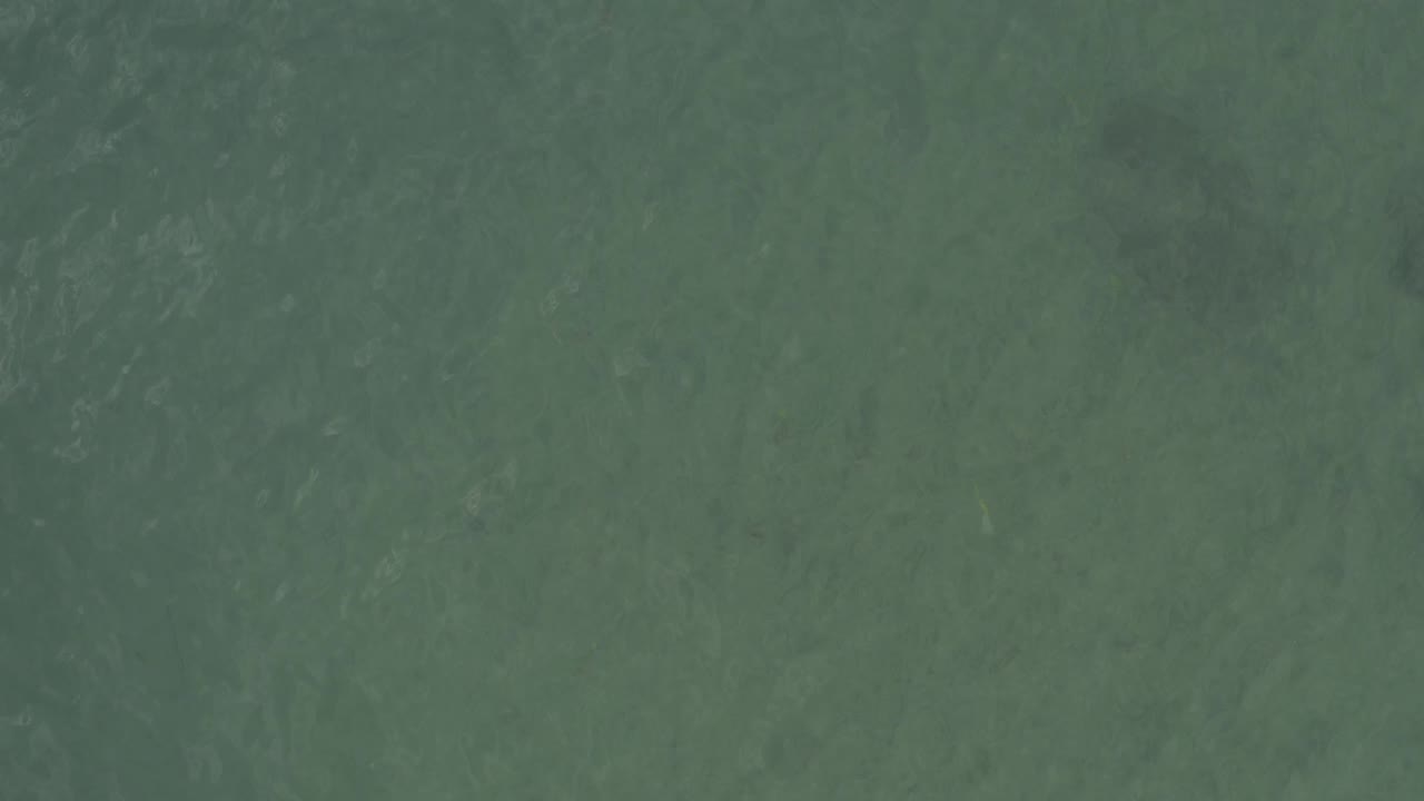 Top-down view of blue-green ocean in Baja California Sur, Mexico, with pale wave marks spread across the frame and no visible people.