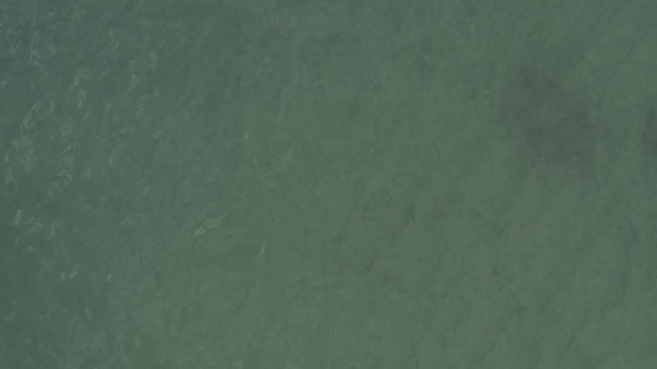 Overhead sea texture with darker green water and light ripples.