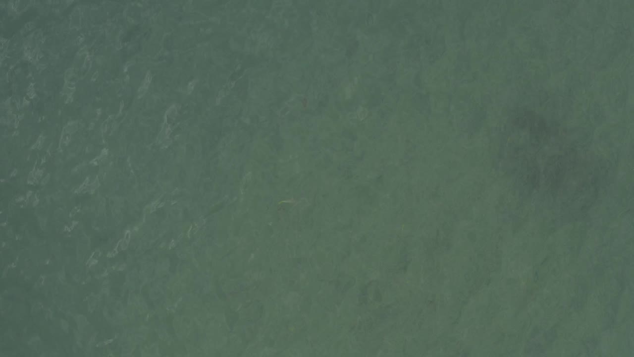 Overhead view of green-blue ocean water in Baja California Sur, Mexico, with faint ripples across the surface and no visible people.