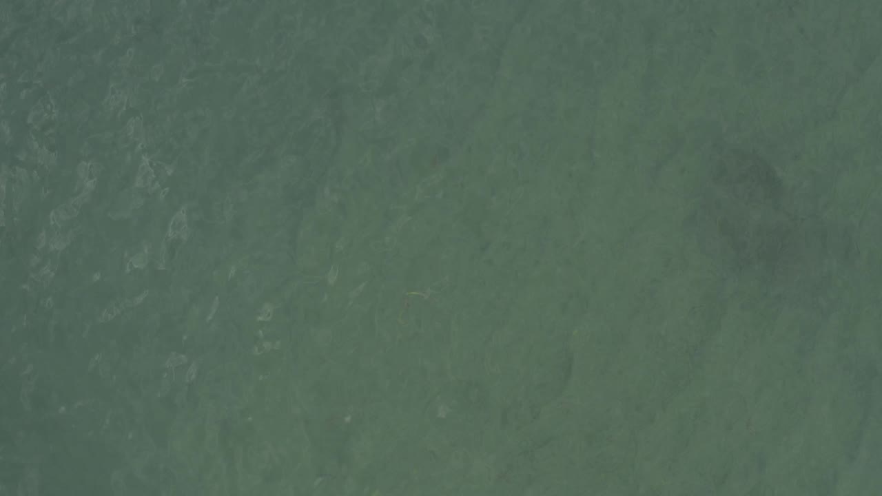 Top-down sea surface in Baja California Sur, Mexico, showing pale green-blue water, faint wave marks, and no visible people.