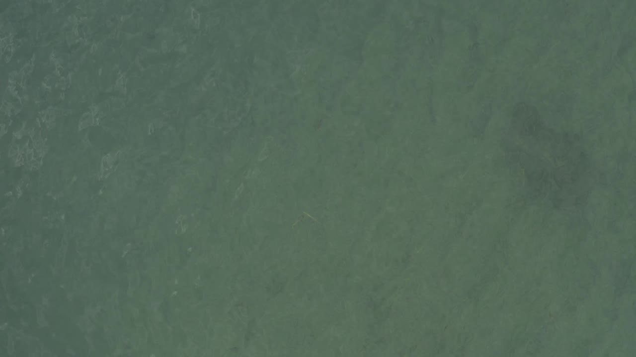 Green ocean water with soft surface pattern