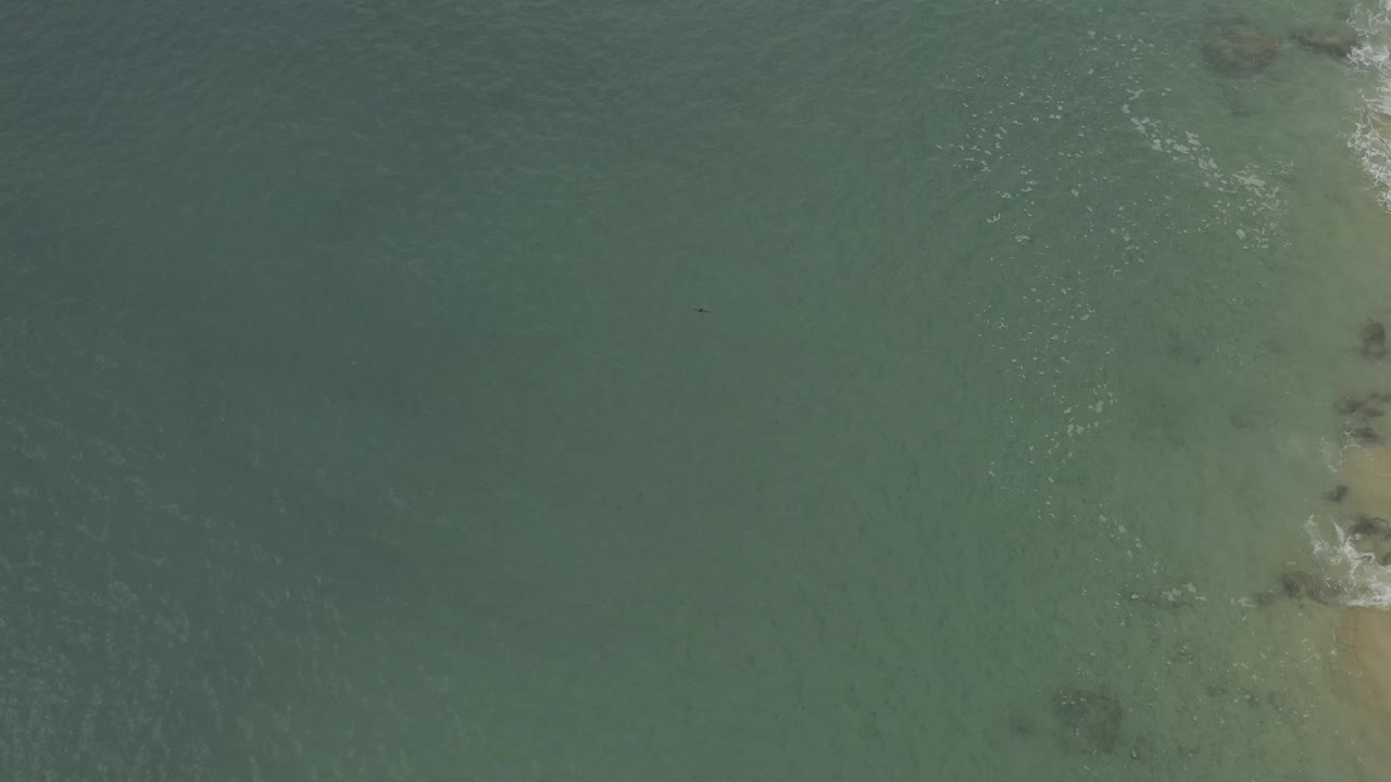 Overhead view of green-blue coastal water in Baja California Sur, Mexico, with pale submerged patches, faint surface texture, and no visible people in this opening frame.