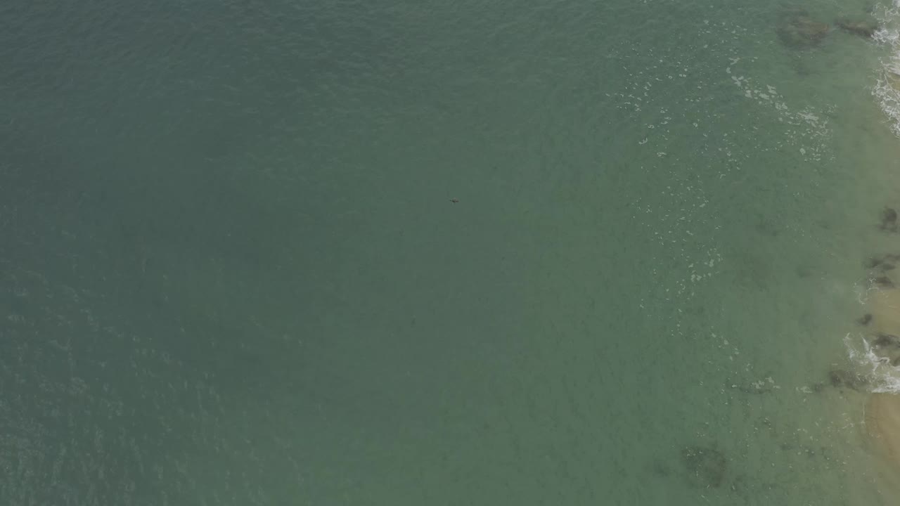 High overhead Baja California Sur ocean frame showing a pale underwater strip, darker green water around it, and a small white wave break near the center.