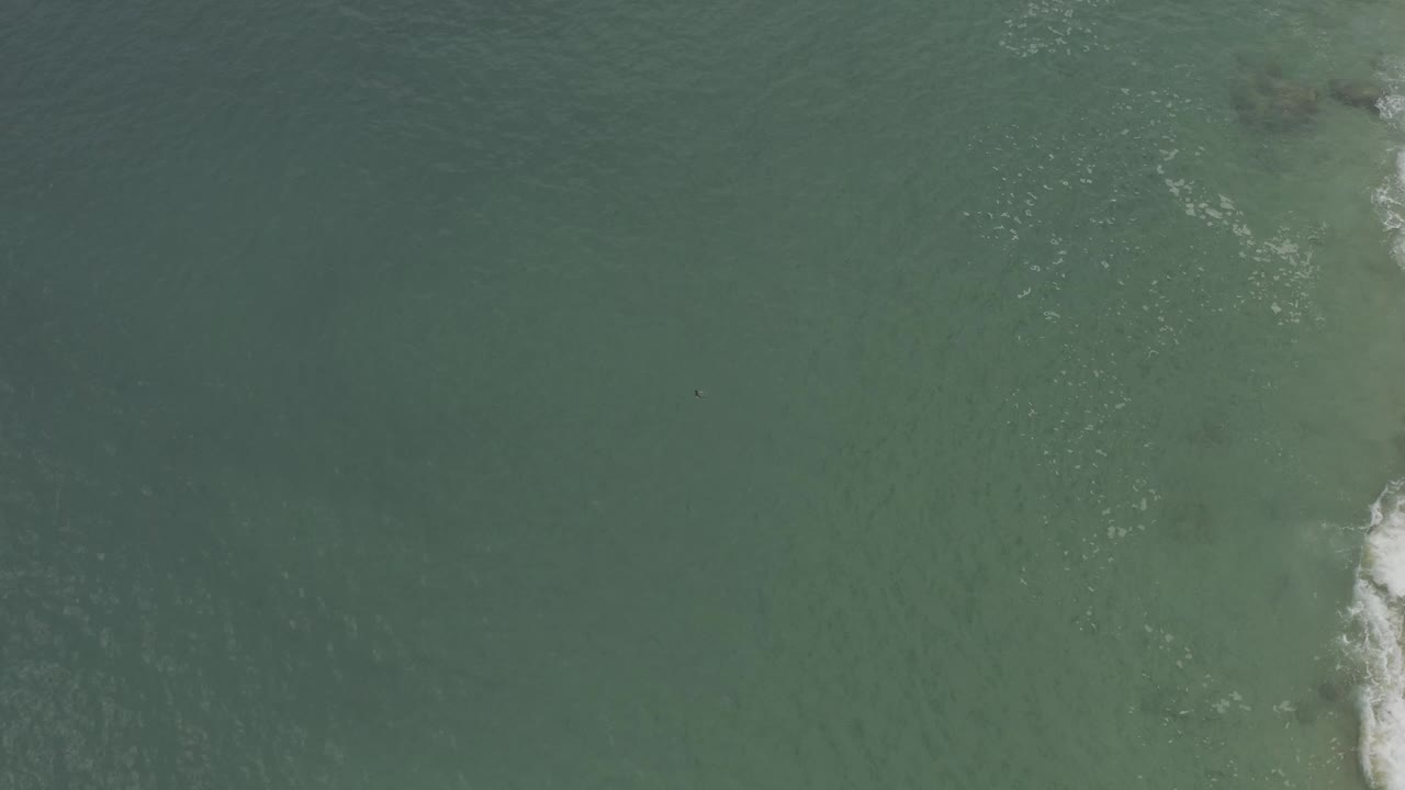 Green coastal water with a small dark figure and breaking foam below center.