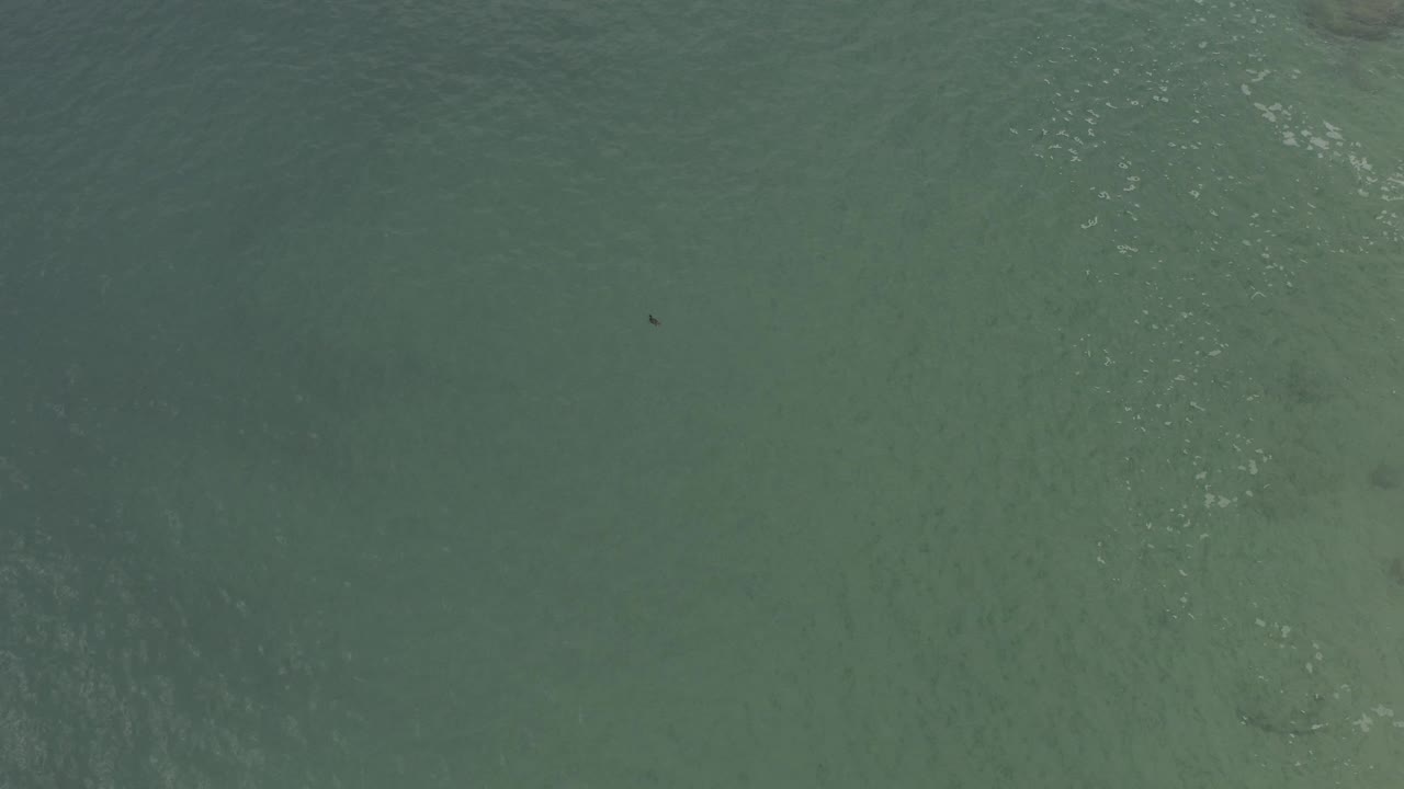 Overhead green-blue ocean surface with faint ripples and a small dark shape.