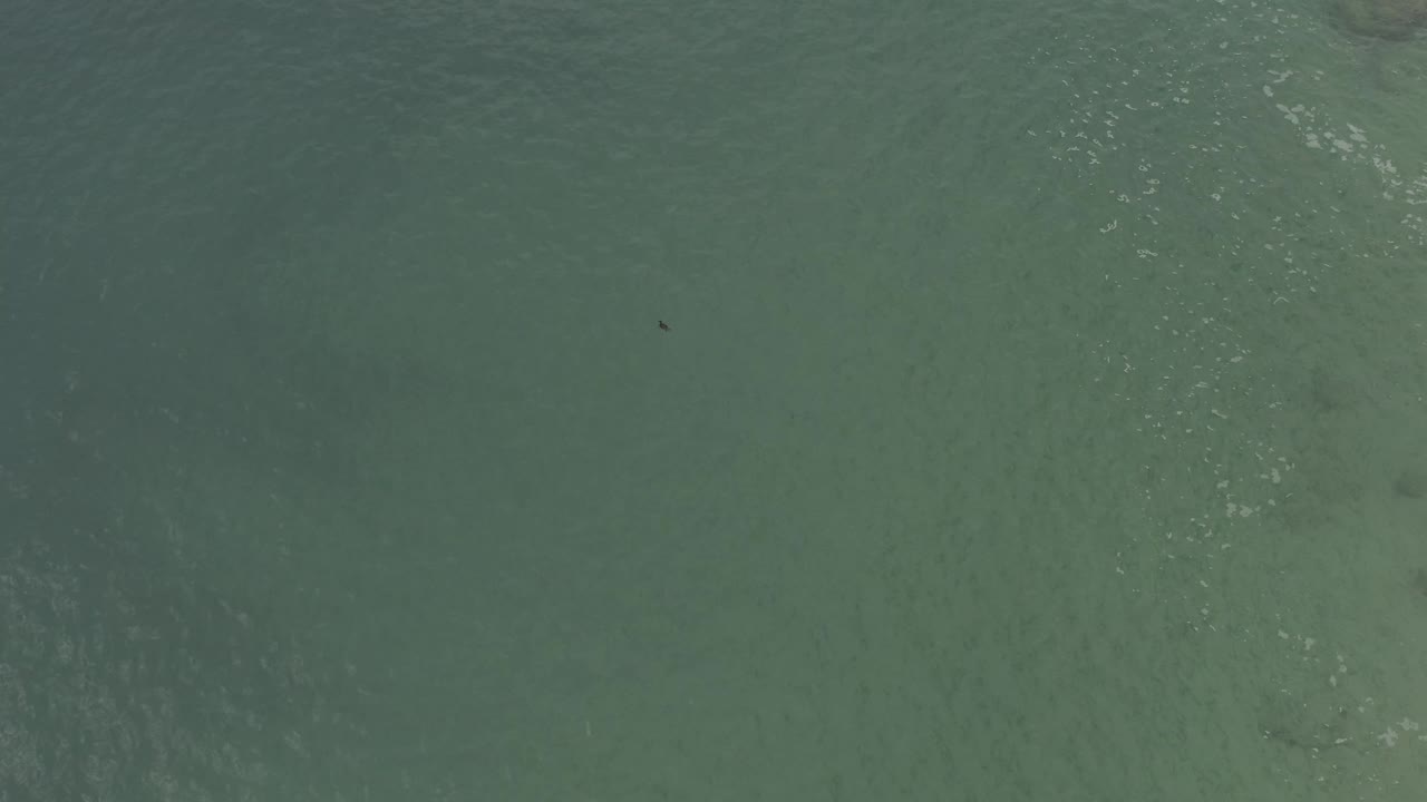 Aerial frame of Baja California Sur ocean water with pale wave texture, muted green-blue color, a small dark unidentified animal shape near the upper portion, and no visible people.