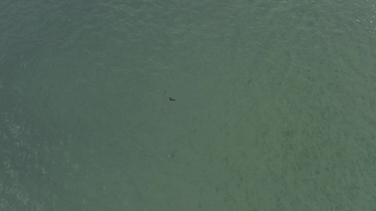 Top-down ocean view in Baja California Sur, Mexico, showing green water, fine ripple marks, a small dark shape near the upper right, and no visible people.