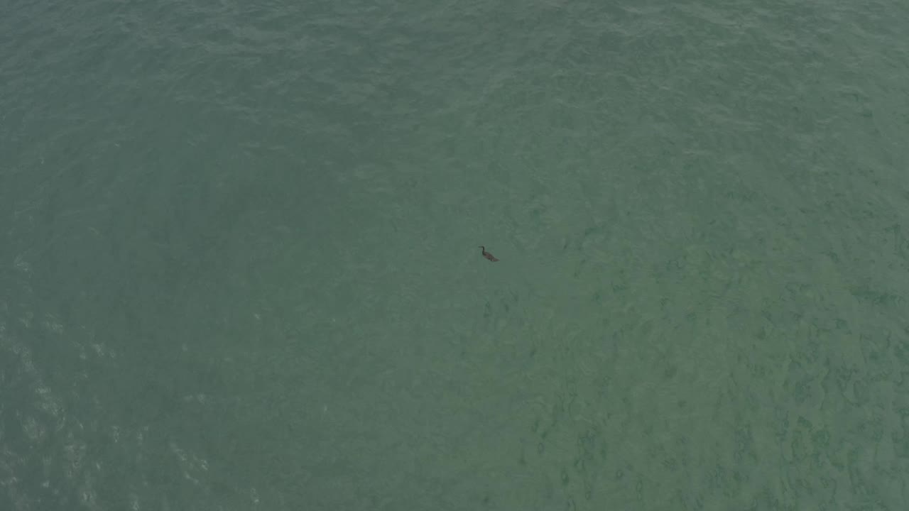 Aerial view of green-blue Baja California Sur ocean with the dark underwater form near the left side and slightly darker wave texture across the frame, no visible people.