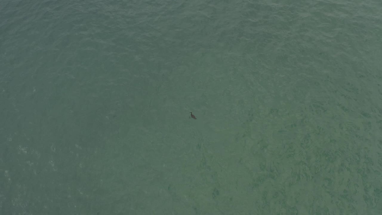 Overhead view of green-blue ocean water in Baja California Sur with a small dark silhouette near the upper left and no visible people.