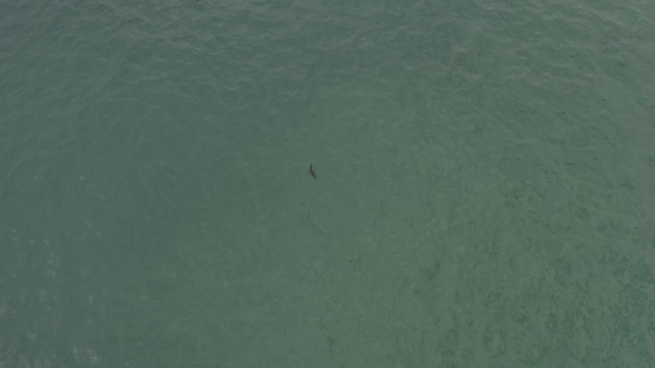 Aerial view of green Baja California Sur water with a small dark silhouette near the lower left and no visible people.