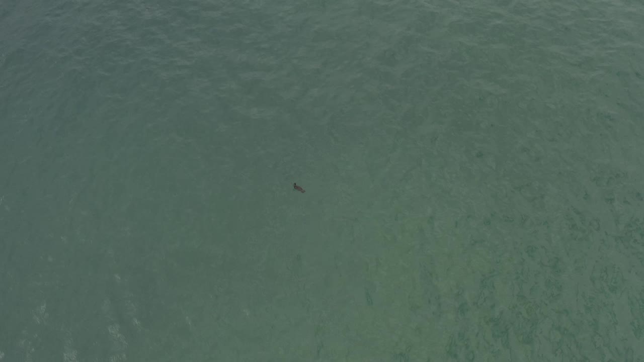 Overhead shallow water in Baja California Sur, Mexico, showing green-blue ripples, soft seabed patterns, a small fish shape near the right side, and no visible people.