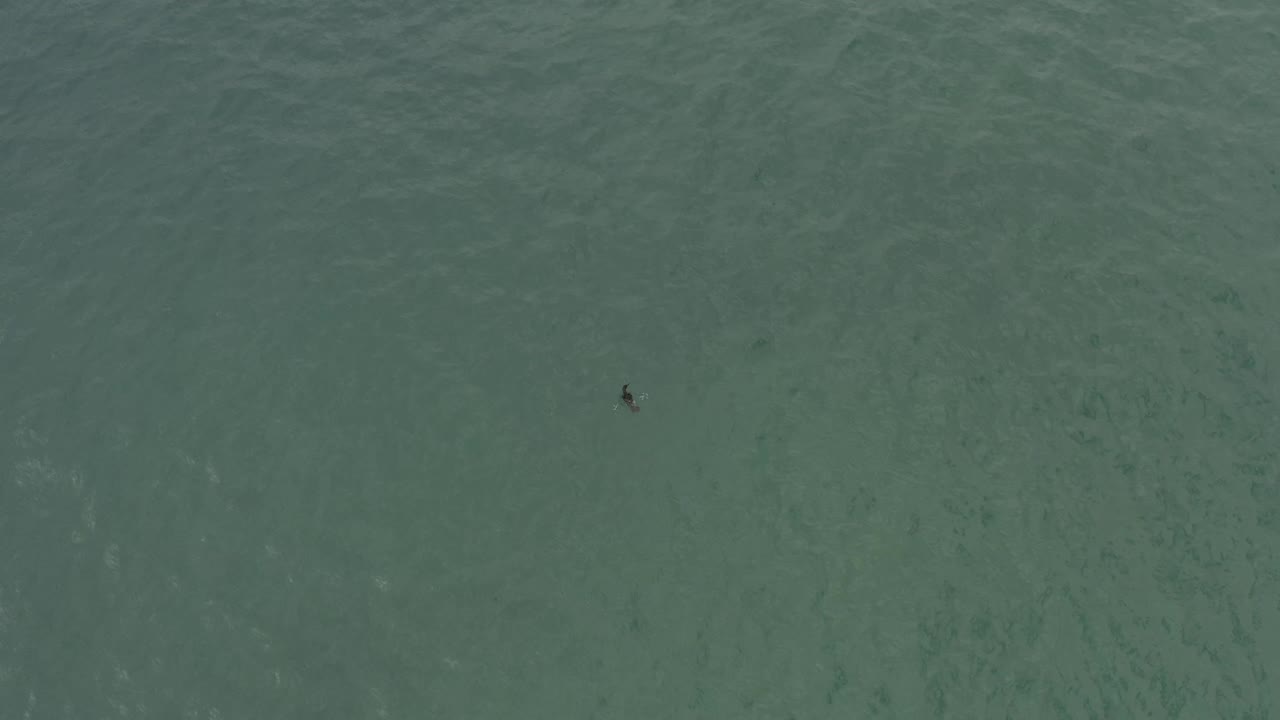 Aerial-looking Baja California Sur water surface with the small dark grey floating object set near the upper right over muted blue-green waves, no visible people.
