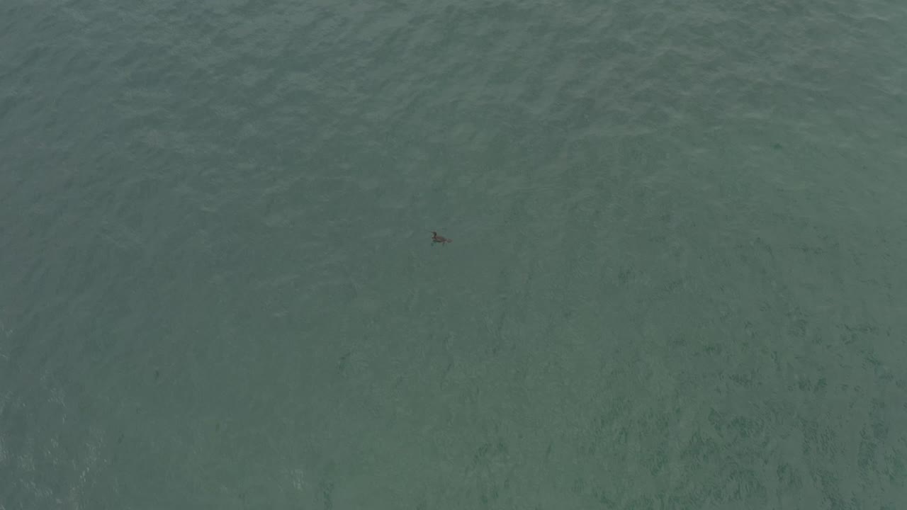 Overhead ocean view in Baja California Sur, Mexico, with subtle darker water patches and a tiny fish-like shape left of center, with no visible people.