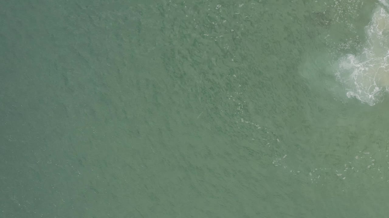Top-down view of green ocean water in Baja California Sur, Mexico, with a compact foamy wave break near the upper right edge and no visible people.