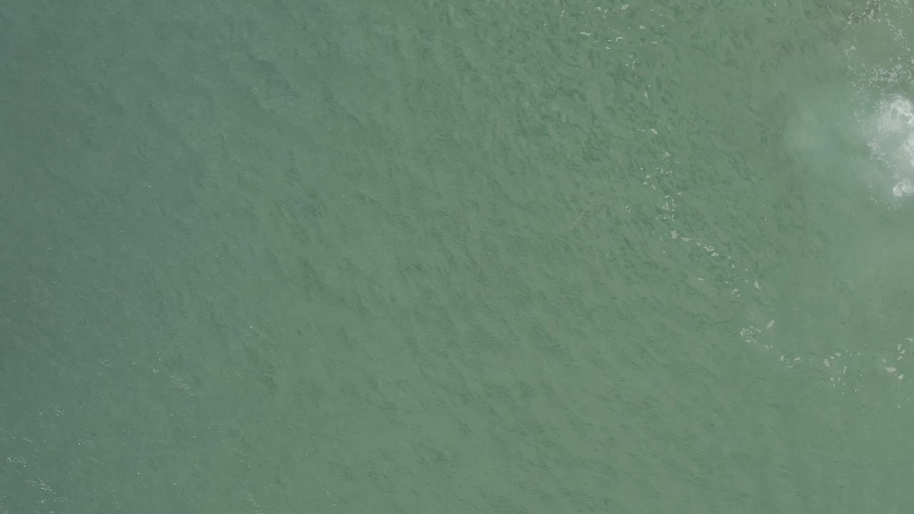 Overhead green ocean in Baja California Sur, Mexico, with a soft white foam patch near the upper center and no visible people.