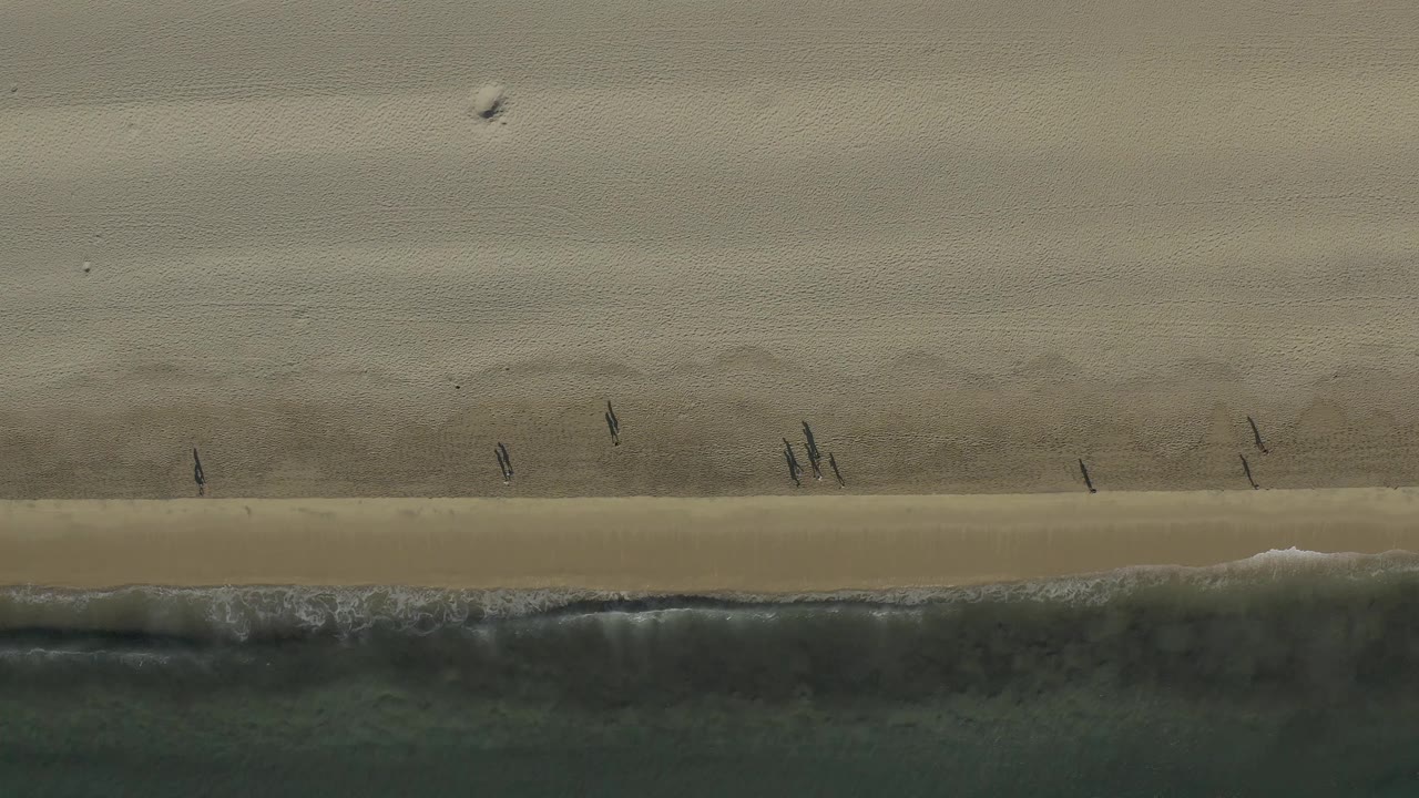 Aerial shoreline with scattered people and a low wave rolling in.