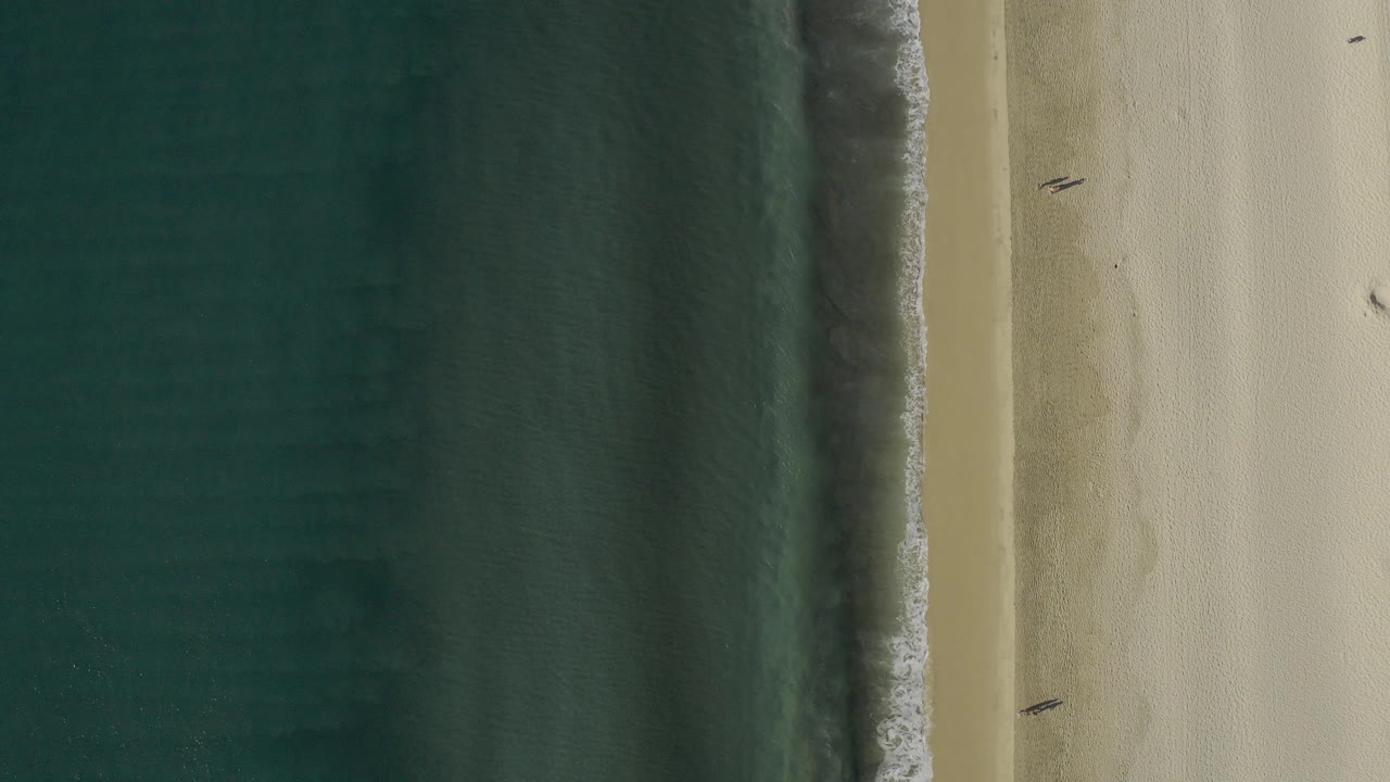 High overhead frame from Baja California Sur, Mexico, showing dark teal water on the left, a thin surf line, pale sand on the right, and tiny people visible on the beach.