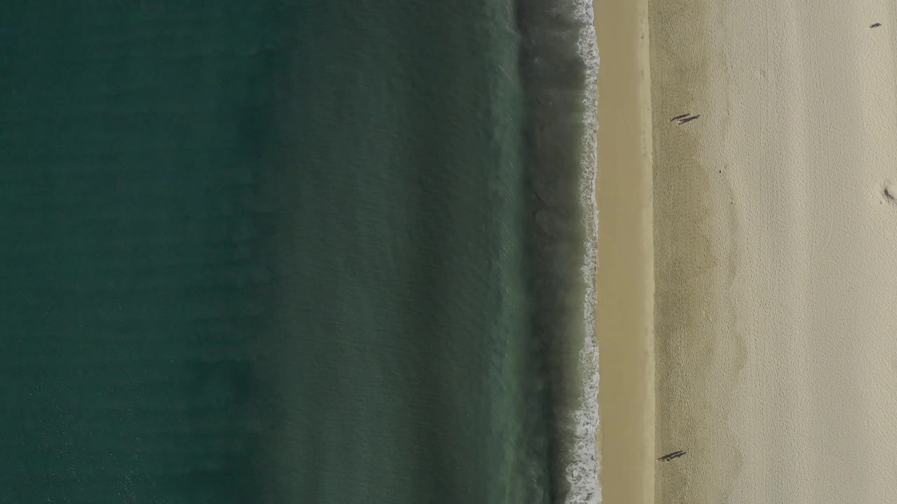 Top-down shoreline with ocean water, foam, sand, and small beach figures.