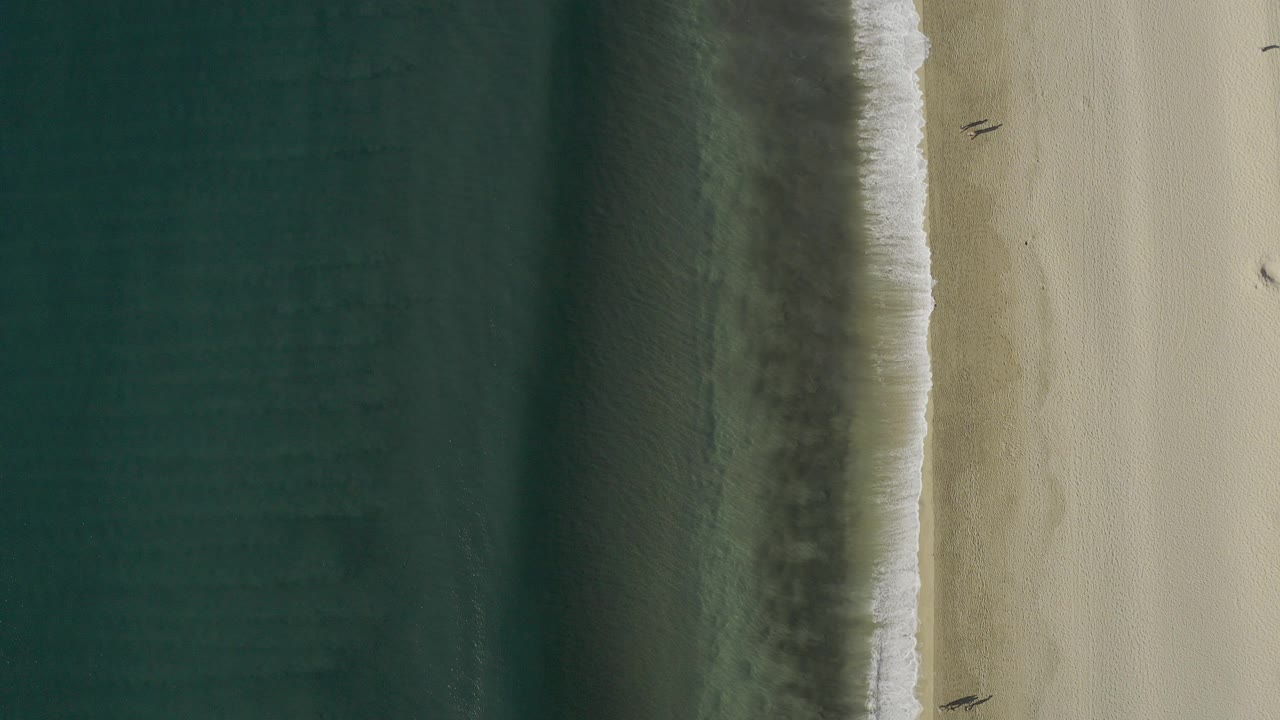 Top-down aerial frame from Baja California Sur, Mexico, with dark teal water on the left, pale beach on the right, a thin foam line, and no visible people.