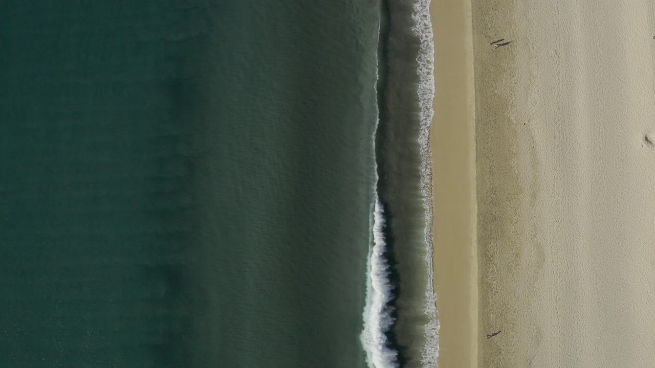 Top-down aerial frame of a Baja California Sur beach with dark green water on the left, a narrow white surf line, pale sand on the right, and no visible people.