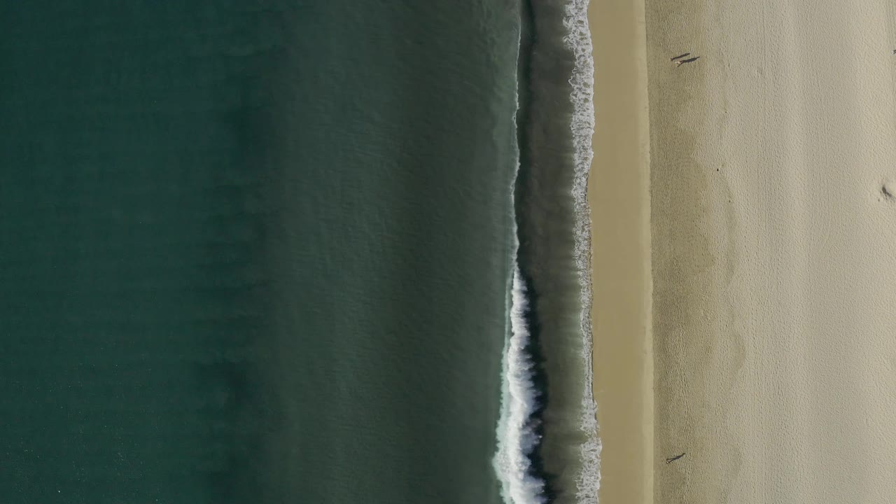 Drone view of a wave edge running beside a pale beach.