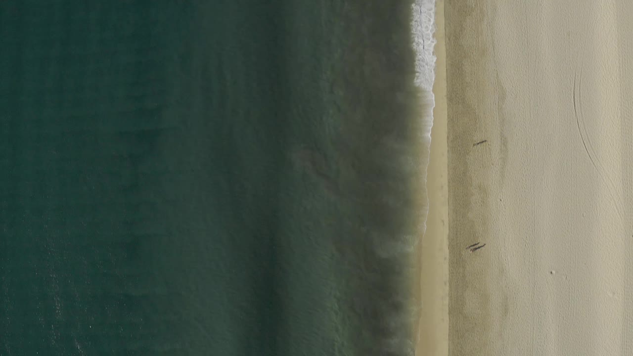 Aerial overhead view in Baja California Sur, Mexico, showing the shoreline as vertical bands of dark water, narrow foam, wet sand, and dry beach with no visible people.