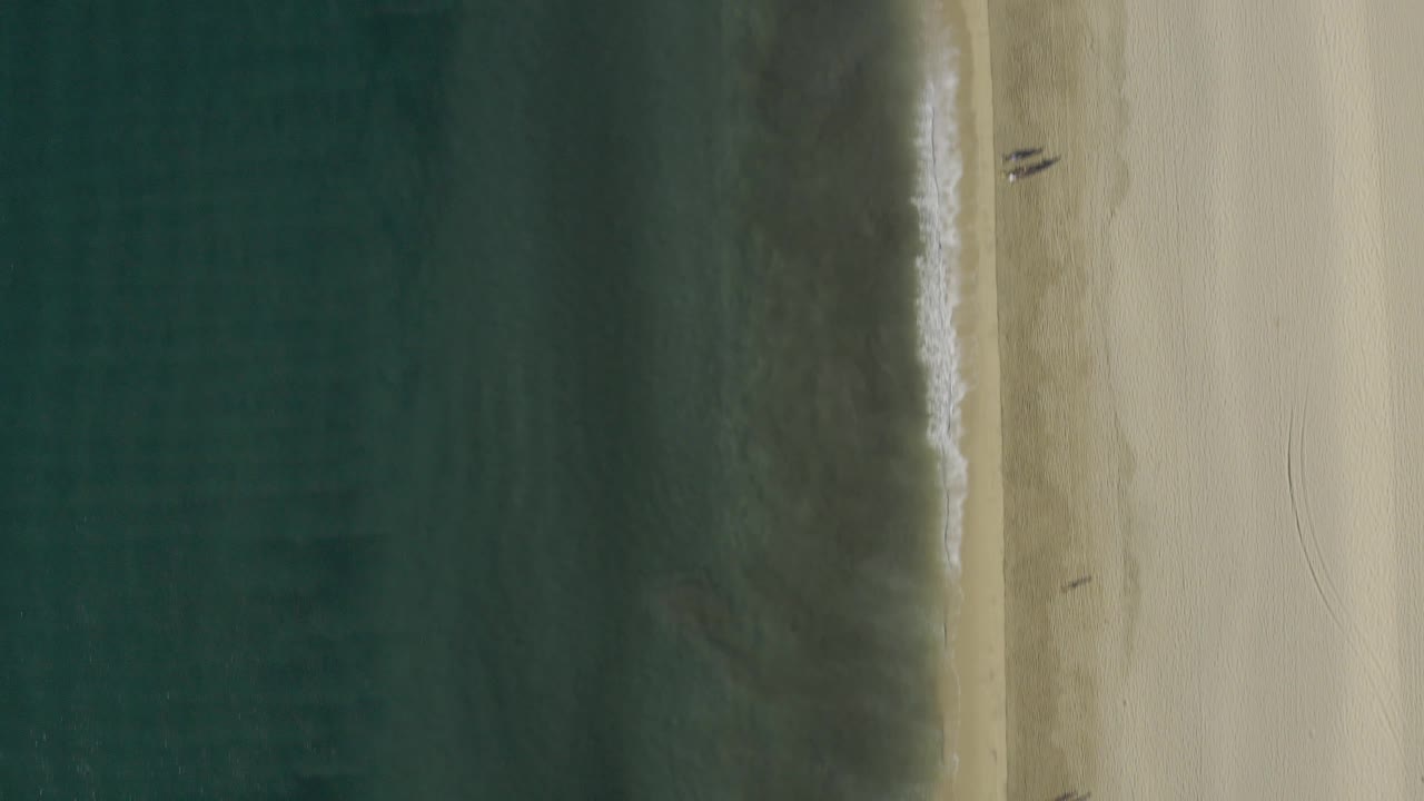 Overhead Baja California Sur beach frame with darker shallow water near the surf, pale sand to the right, faint curved tracks in the upper sand, and no visible people.
