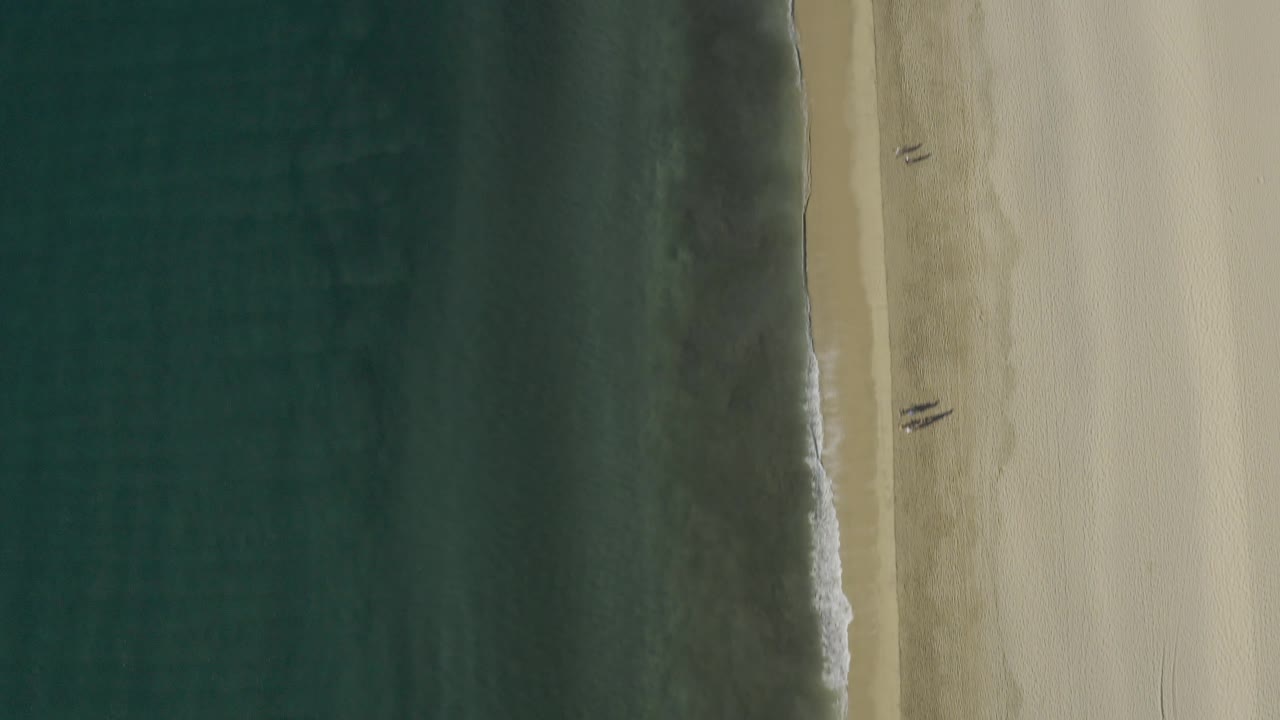 Vertical shoreline bands of water, foam, and sand