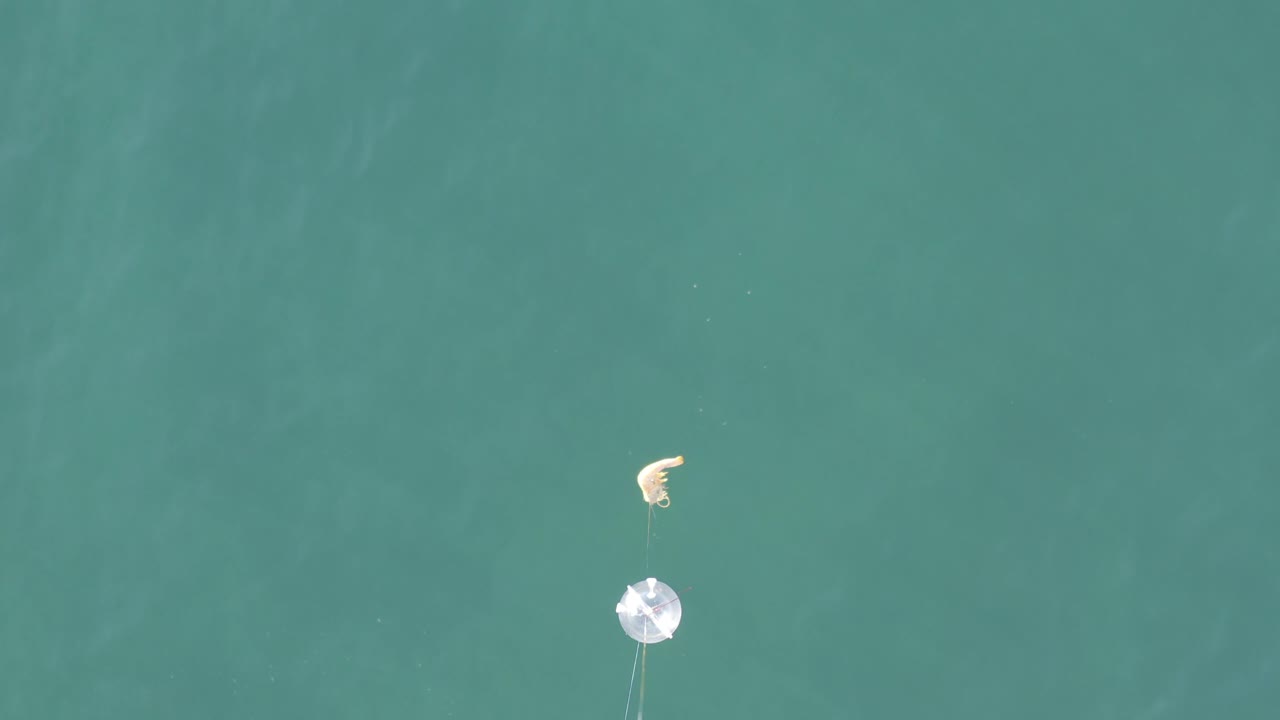 Overhead sea surface with pale debris and reflective object.