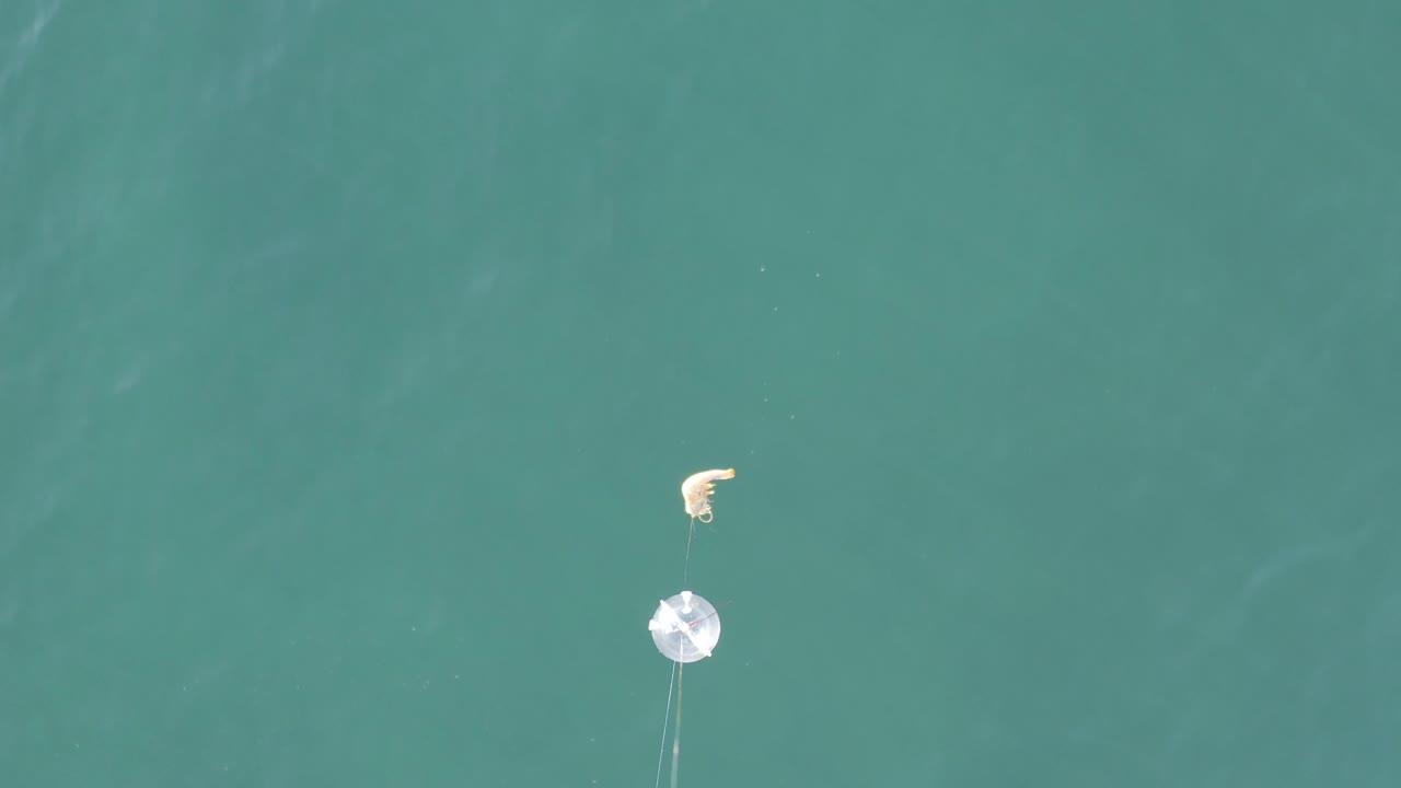 Overhead frame from Baja California Sur, Mexico showing teal ocean water, a small pale floating marker, faint trailing lines, and no visible people.