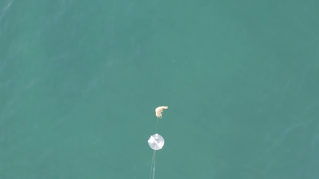 Aerial Baja California Sur ocean view with the small pale marker slightly lower in frame, faint lines below it, and no visible people.