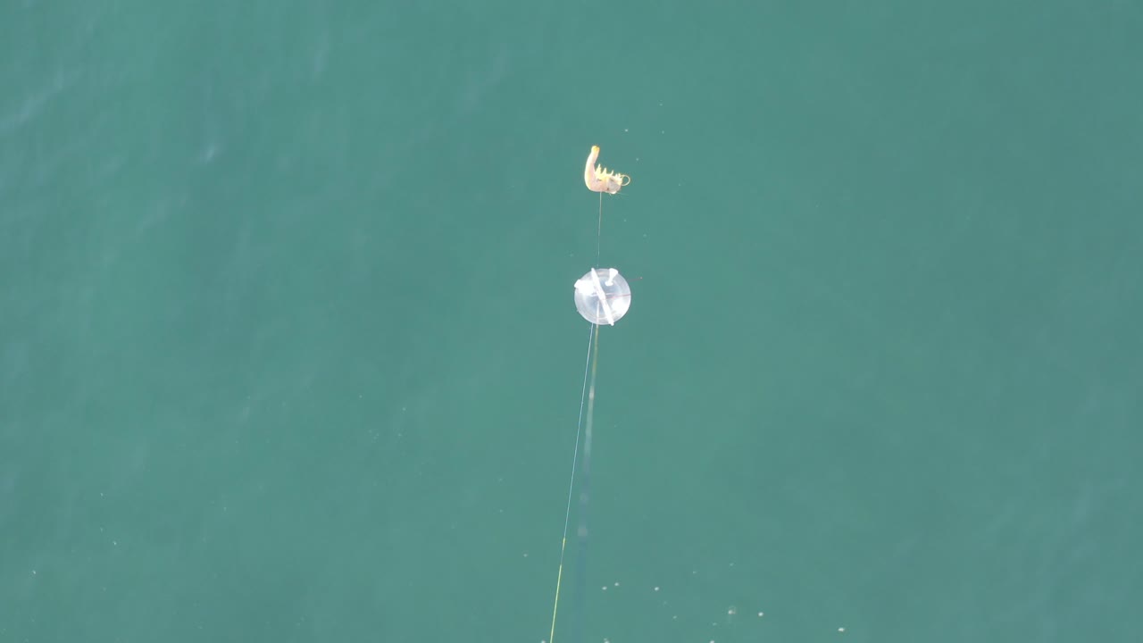 Top-down view over teal water in Baja California Sur, Mexico, showing a fluffy white circular object below a smaller pale curved object, with thin trailing lines and no visible people.