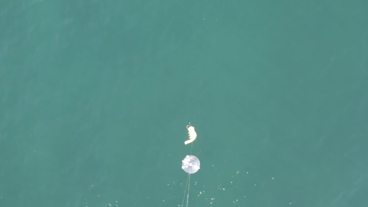 Top-down ocean view in Baja California Sur, Mexico, showing the white circular object lower than the pale curved object, with small bright surface specks nearby and no visible people.