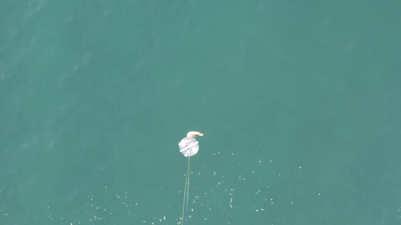 Baja California Sur aerial frame with the white circular object and pale curved object shifted toward the left side, surrounded by teal water, scattered bubbles, and no visible people.