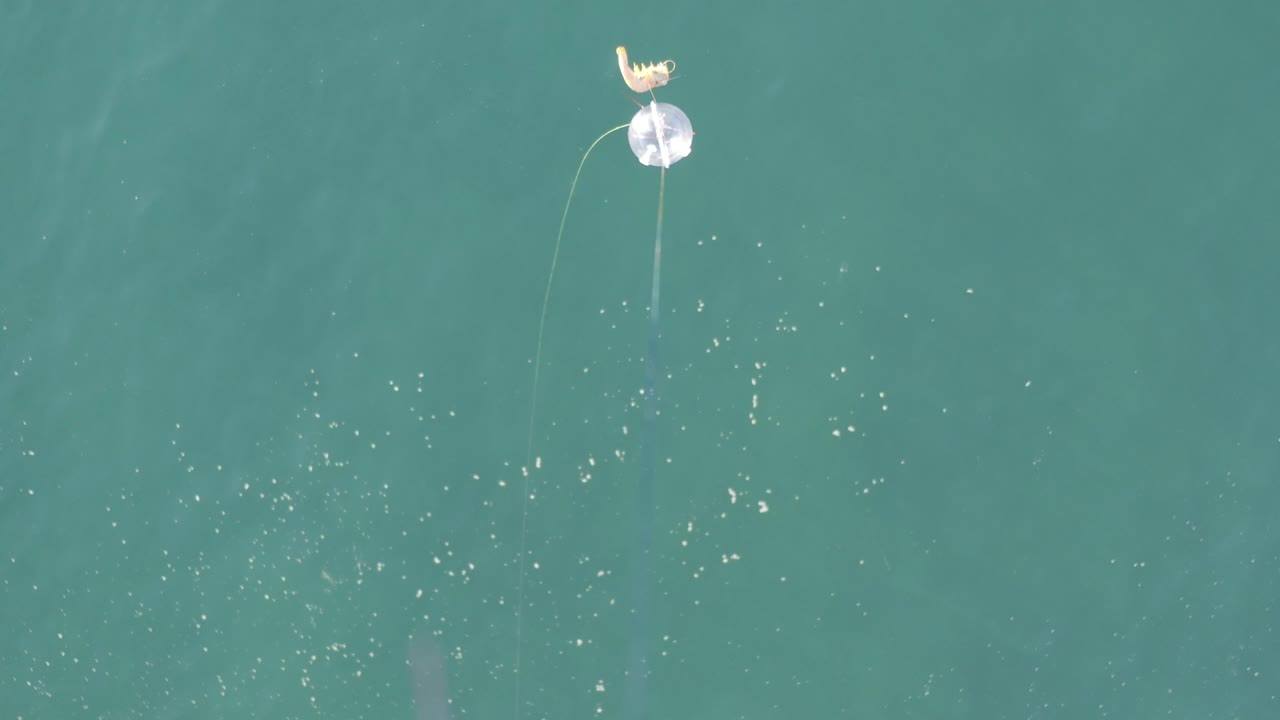 At 0:00, a pale dandelion-like flower hangs from a fine spider web over teal water in Baja California Sur Mexico, with small white surface flecks below and no visible people.