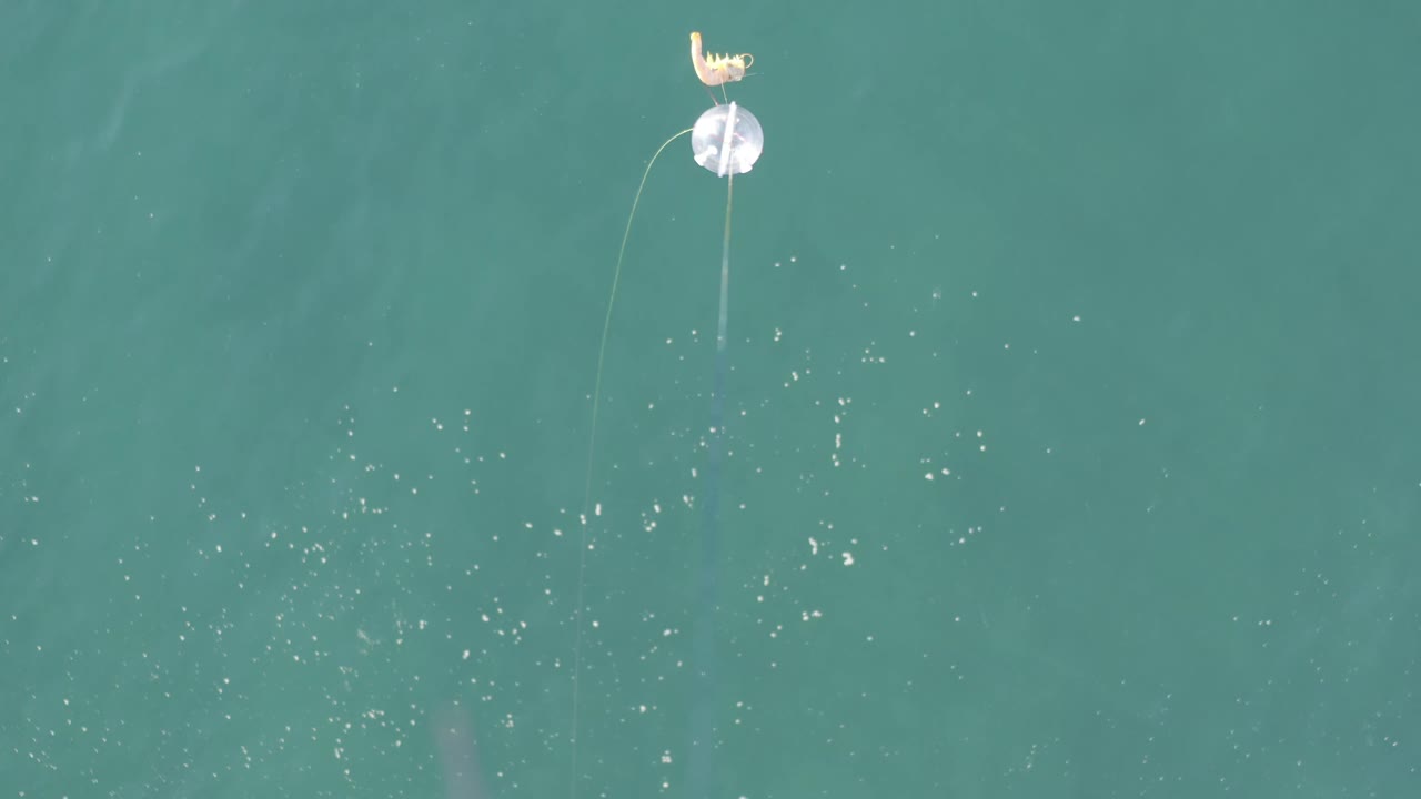 At 0:01, the flower and thread remain near the top of the frame over green-blue Baja California Sur water, with scattered bright specks and no visible people.