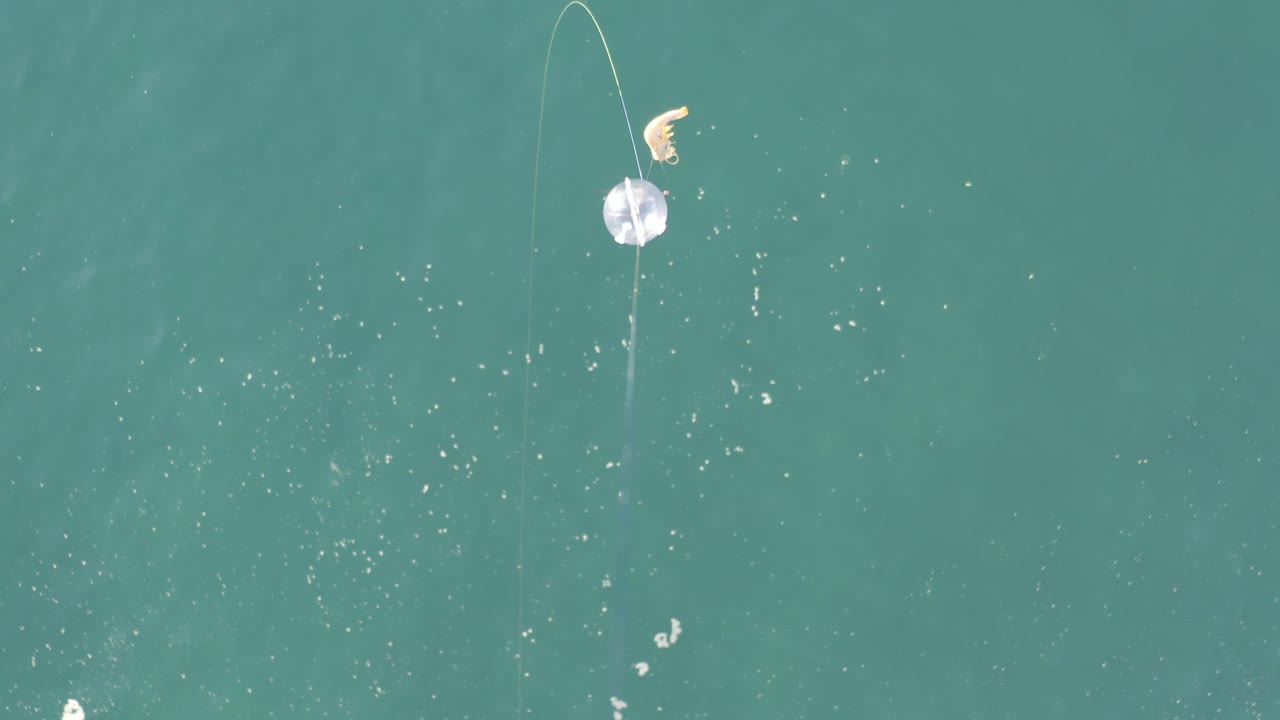 At 0:02, a curved spider web line arcs above the pale flower over flat teal sea water in Baja California Sur Mexico, with no shoreline and no visible people.