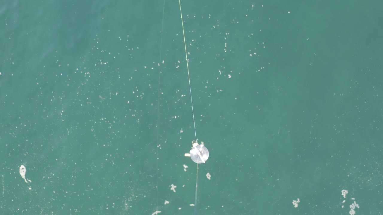 Thin web line and small flower over rippled sea water.