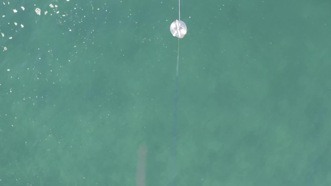 Top-down Baja California Sur water view with the white circular object near the upper center, rippled highlights clustered nearby, a faint vertical cord, and no visible people.