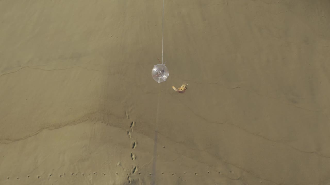 Aerial-looking frame over Baja California Sur beach sand, with a narrow vertical track line, scattered footprints, a small pale foam or bubble patch, and no visible people.