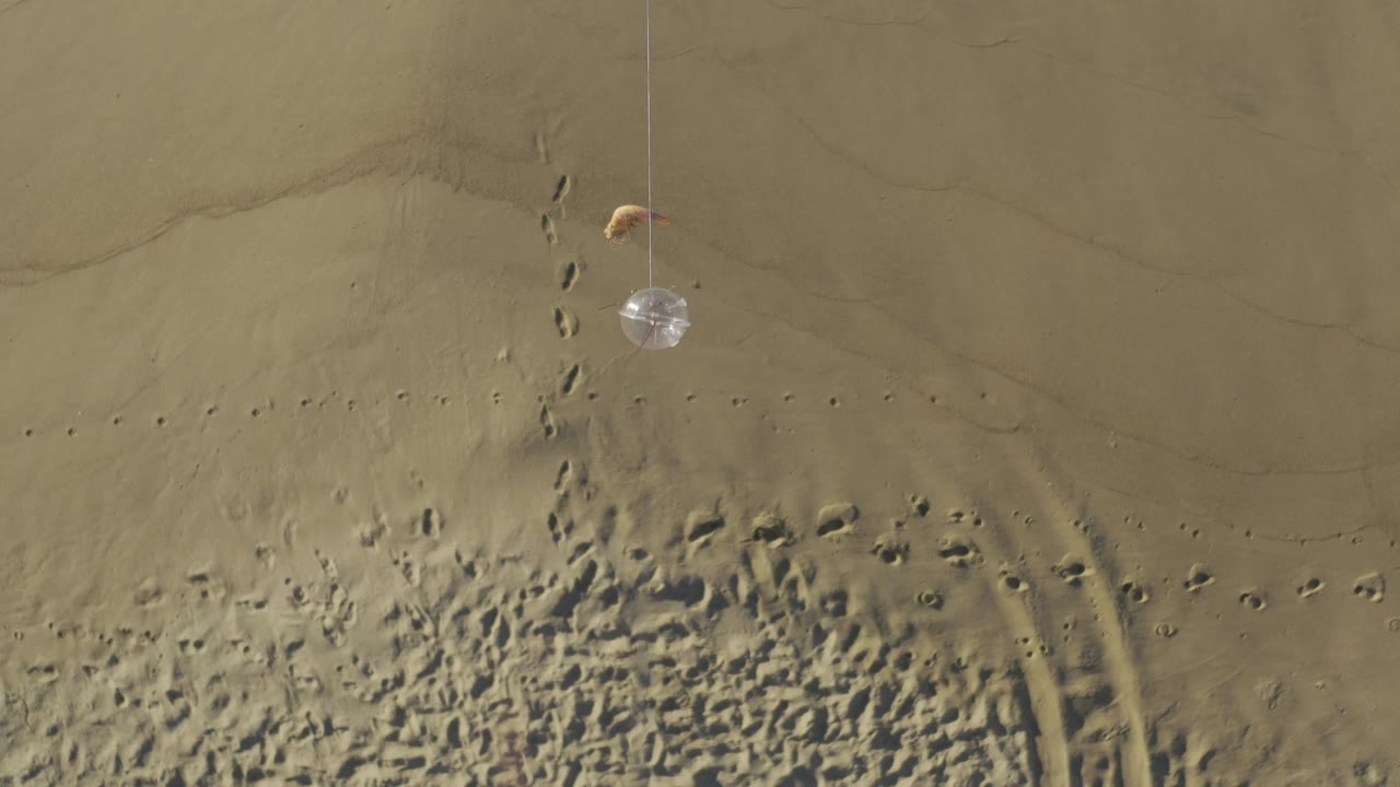 Top-down view of Baja California Sur beach sand with a small pale foam or bubble patch at upper left, scattered footprints below, curved track marks, and no visible people.