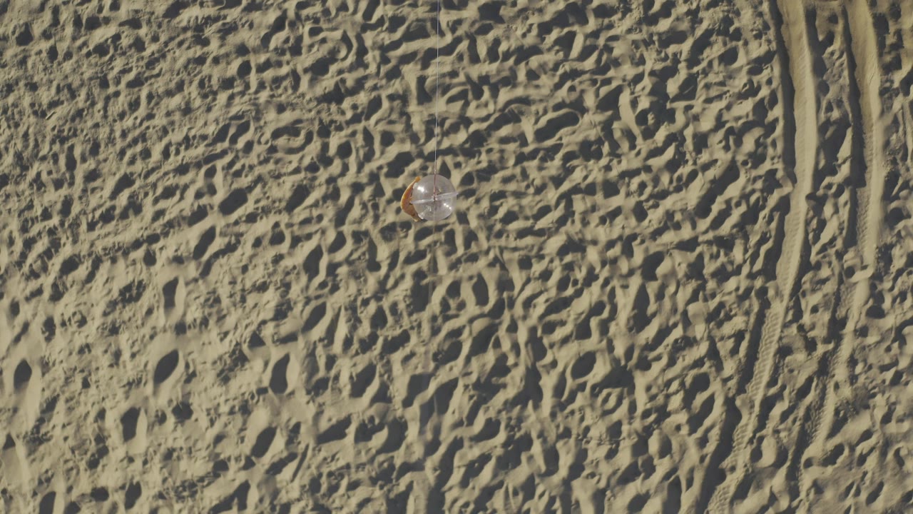 Overhead Baja California Sur desert frame with patterned tan sand, vertical tire tracks near the right side, a small pale object left of center, and no visible people.