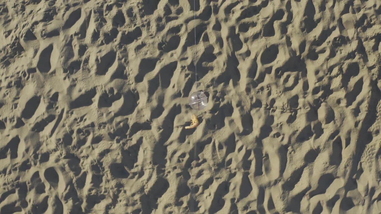 Overhead Baja California Sur beach detail with uneven pale sand, footprint hollows, a small clear ball slightly right of center, and no visible people.