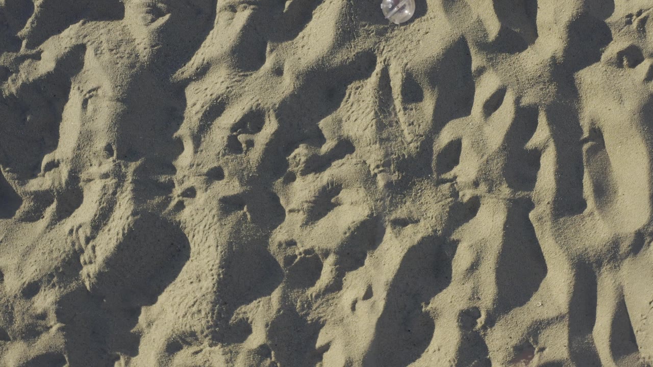 Sunlit sand ridges and footprint marks fill the frame.