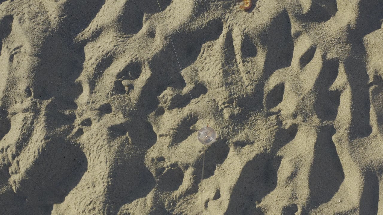 The frame shows pale coastal sand in Baja California Sur, Mexico, with irregular footprints, dark pockets, and a small bright reflective spot near the top edge, with no visible people.