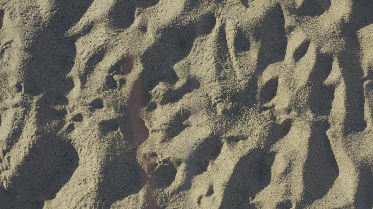 Patterned Baja California Sur sand fills the frame, with elongated raised forms, pitted depressions, and no visible people.