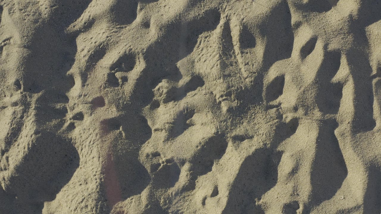 Tan Baja California Sur sand fills the frame with dark grooves between raised ridges, soft natural light, and no visible people.