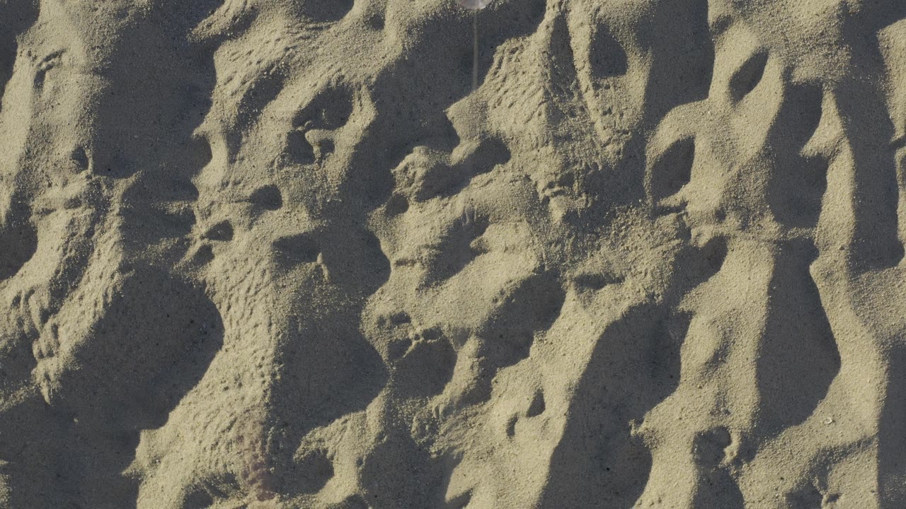 Textured sand mounds and depressions create an abstract desert pattern in Baja California Sur, Mexico, with no visible people.