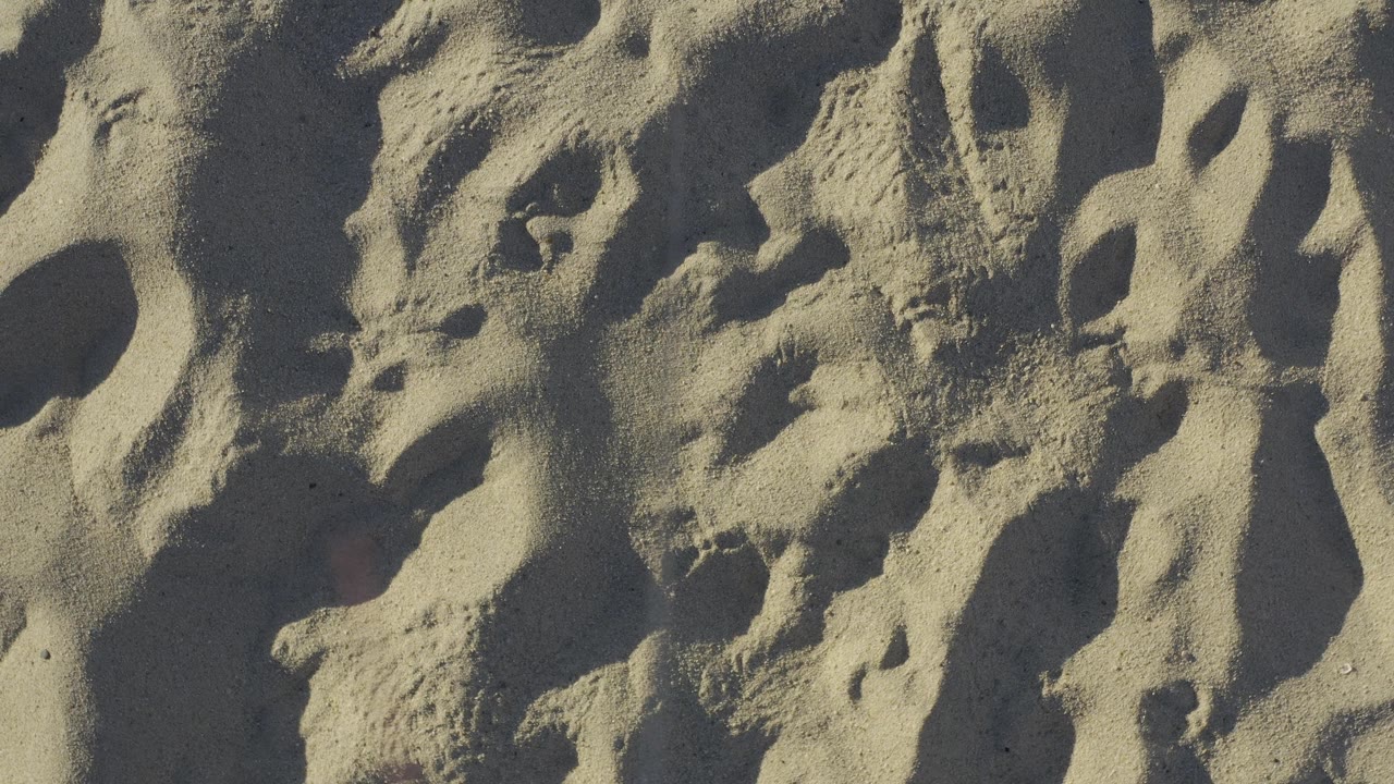 Sunlit beach sand with clustered depressions and rough ridges.