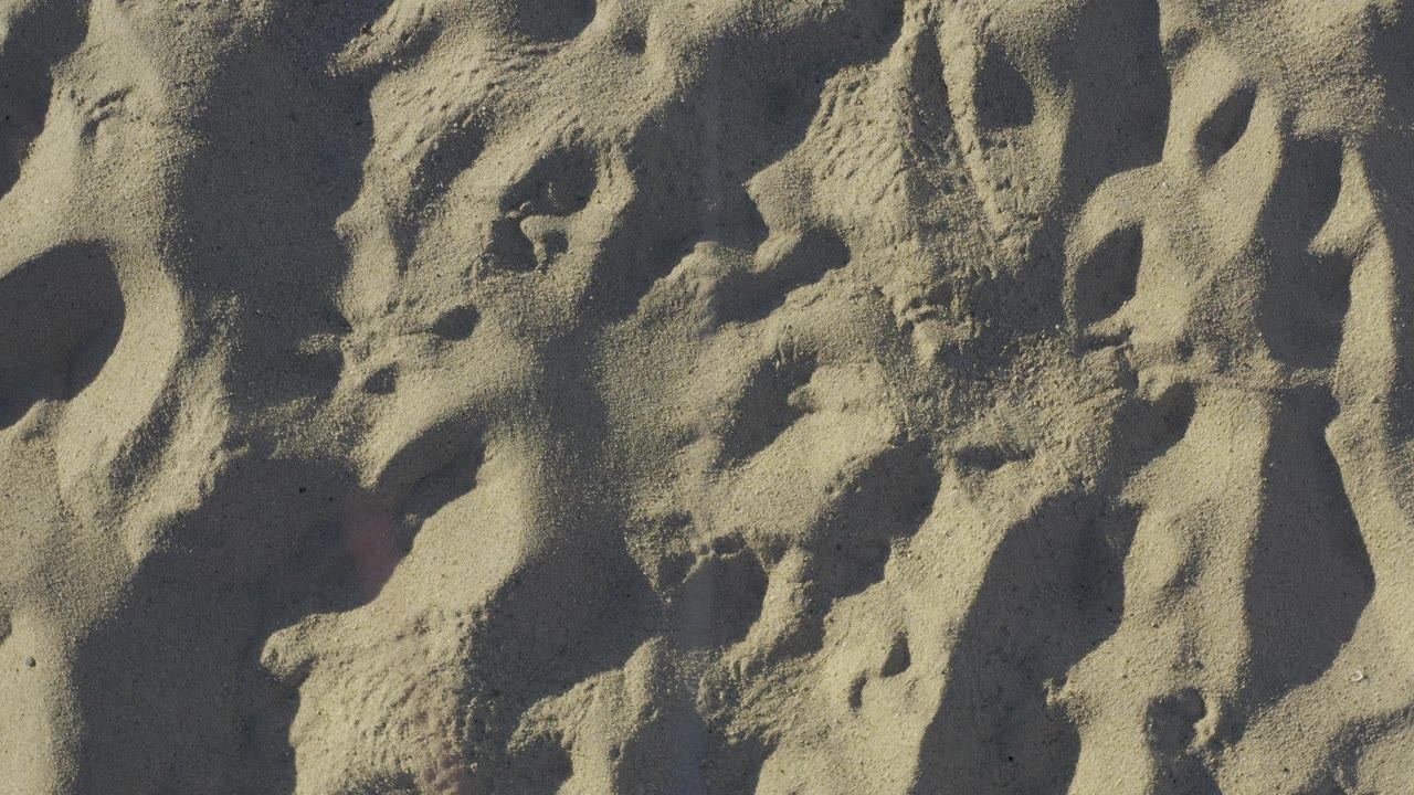 Rippled beach sand in Baja California Sur, Mexico fills the frame at the opening moment, with no visible people.